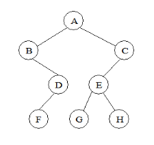 2022���м����