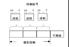 字段直接编码法
