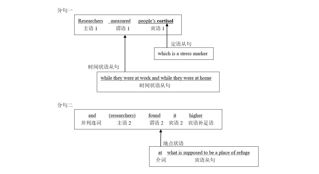 Ӣ�ﳤ�Ѿ丨���γ�