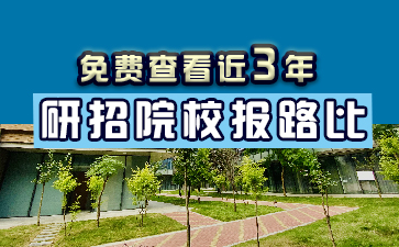 �Ϲ����о�������滮ѧ������,�Ϲ����г���滮ѧ¼ȡ������2023